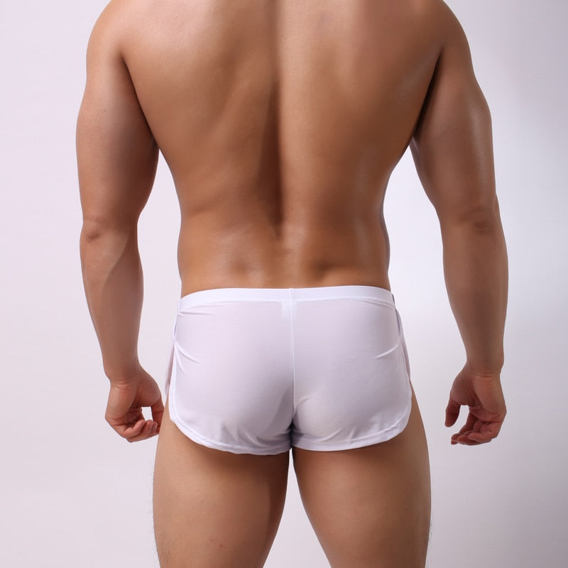 Brand Men Underwear Boxer Shorts Mens Trunks Breathable Nylon silk Male Panties Underpants Man Cuecas Gay Underwear Boxers C802